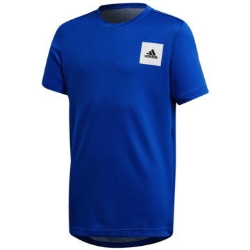 adidas T-ShirtsJB TR AERO TEE - FM1685 blau