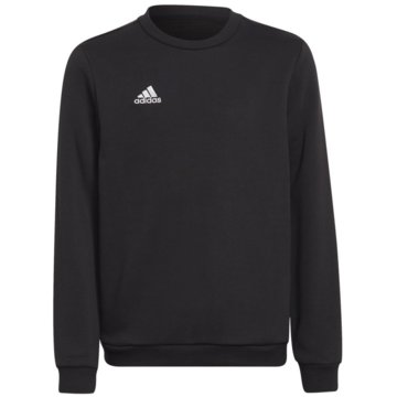 adidas Performance SweatshirtsEntrada 22 Sweatshirt schwarz