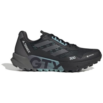 adidas terrex TrailrunningTERREX Agravic Flow 2.0 GORE-TEX Trailrunning-Schuh schwarz