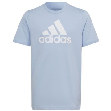 adidas T-ShirtsEssentials Big Logo Cotton T-Shirt -