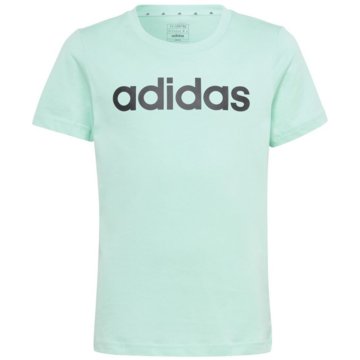 adidas T-ShirtsEssentials Linear Logo Cotton Slim Fit T-Shirt grün