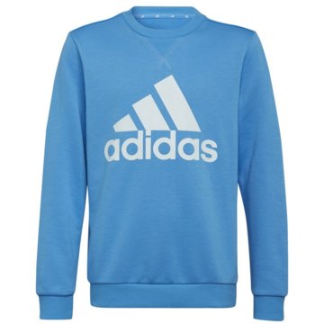 adidas sportswear SweatshirtsEssentials Sweatshirt -