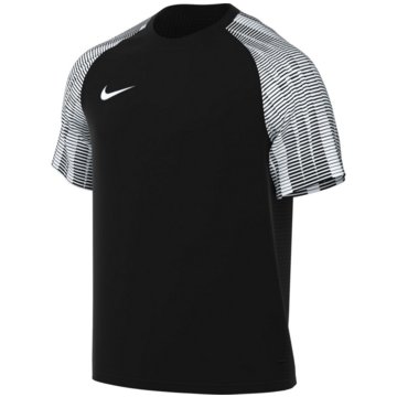 Nike FußballtrikotsDri-FIT Academy Jersey grau