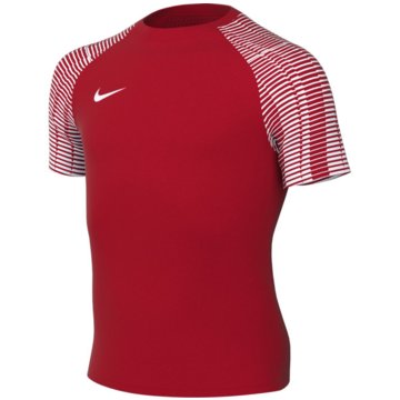 Nike FußballtrikotsDri-FIT Academy rot