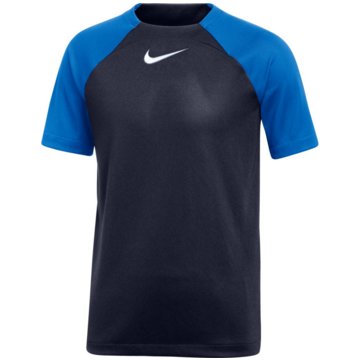 Nike FußballtrikotsDri-FIT Academy Pro blau