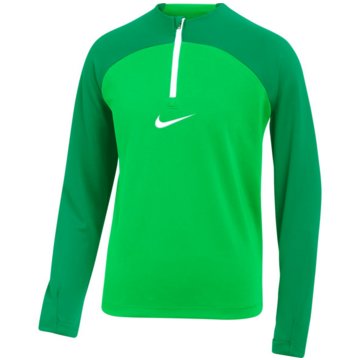 Nike FußballtrikotsDri-FIT Academy Pro grün