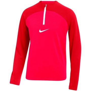 Nike FußballtrikotsDri-FIT Academy Pro rot