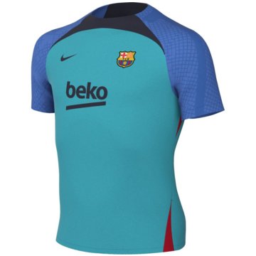 Nike Fan-T-ShirtsFC Barcelona Strike Dri-FIT grün