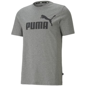 Puma T-ShirtsESS LOGO TEE - 586666 grau