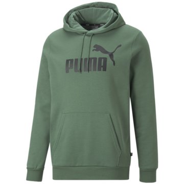 Puma HoodiesESS Big Logo FL (s) grün