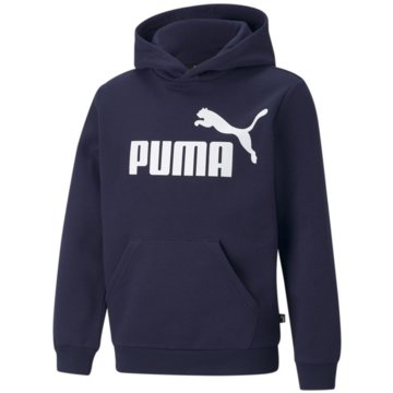 Puma SweatshirtsESS BIG LOGO HOODIE FL B - 586965 blau