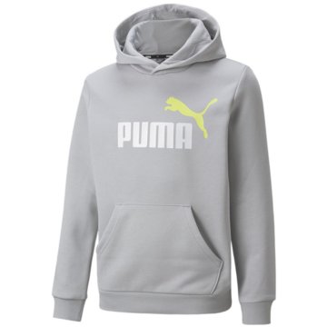 Puma SweatshirtsEss+ 2 Col Big Logo FL B grau
