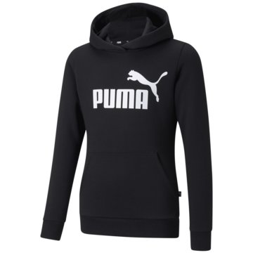 Puma SweatshirtsESS LOGO HOODIE FL G - 587031 schwarz