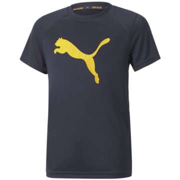Puma T-ShirtsActive Sports CAT Poly Tee B blau