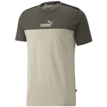Puma T-ShirtsEssential+ Block Tee braun