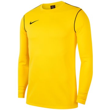 Nike FußballtrikotsDRI-FIT PARK20 - BV6901-719 gelb