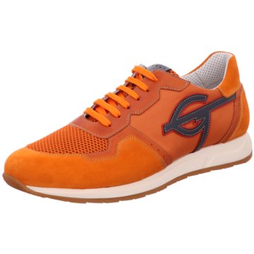 GALIZIO TORRESI Sneaker orange