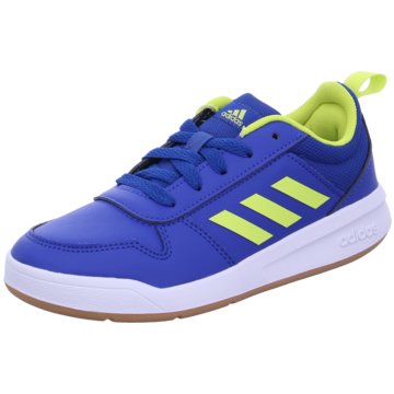 adidas sportswear Hallenschuhe blau