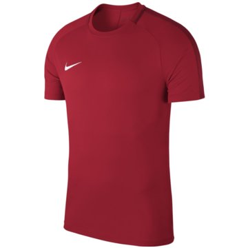 Nike T-ShirtsMEN'S DRY ACADEMY 18 FOOTBALL TOP - 893693-657 rot