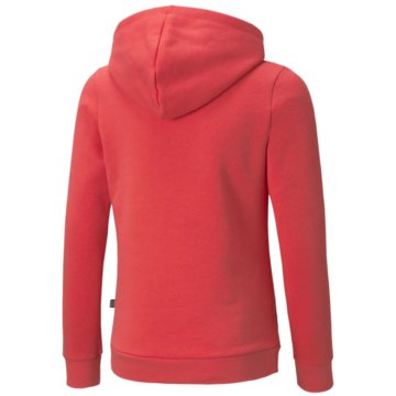 Puma SweatshirtsESS LOGO HOODIE FL G - 587031 pink