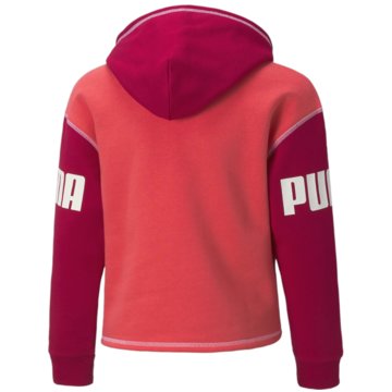 Puma Sweatshirts POWER HOODIE FL G - 589221 pink