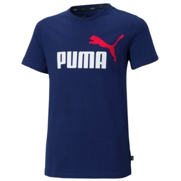 Puma T-ShirtsESS 2 COL LOGO TEE B - 586985 blau
