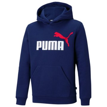 Puma SweatshirtsESS   2 COL BIG LOGO HOODI - 586987 blau